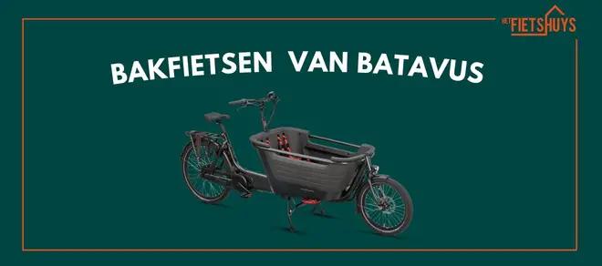 Bakfietsen van Batavus